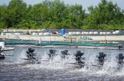 Đẩy mạnh nuôi trồng thủy sản bền vững và giảm tác động môi trường 2025