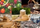 Những bất ổn thương mại và biện pháp chủ động ứng phó