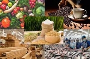 Những bất ổn thương mại và biện pháp chủ động ứng phó